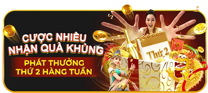 Tổng quan các chương trình khuyến mãi của gacam67 thomo