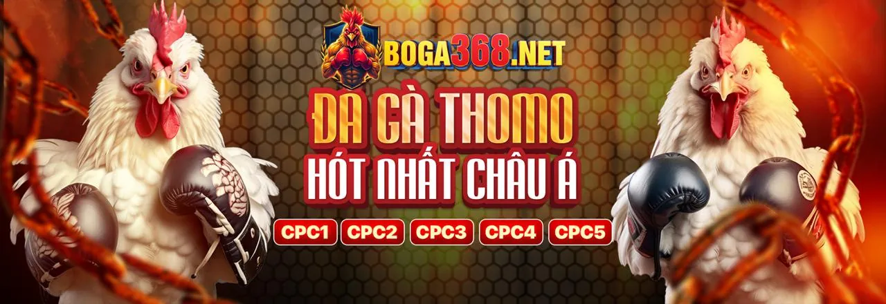 Tổng quan nền tảng cá cược gacam67 thomo