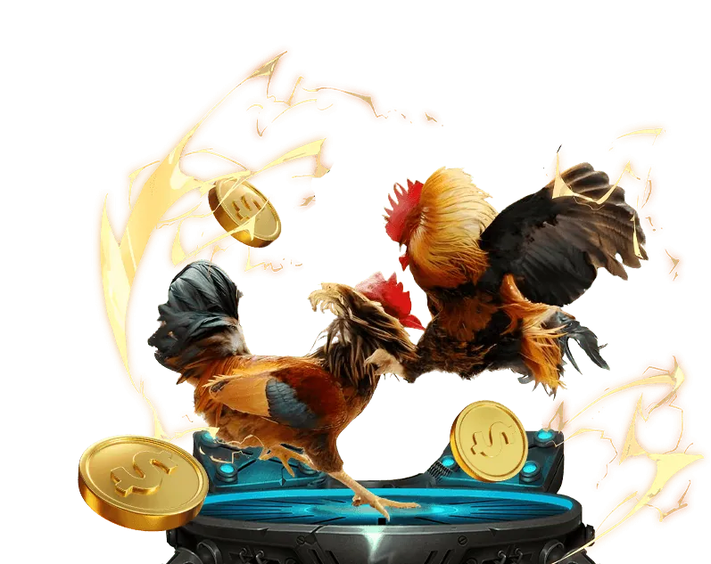 Quản lý vốn hiệu quả gacam67 thomo